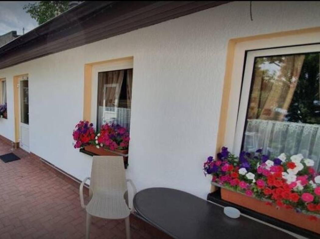Schoene Geraeumige Ferienwohnung Am Park Heringsdorf  Exterior foto